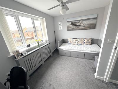Picture 14
